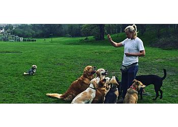 3 Best Dog Trainers in London, UK - Top Picks August 2019