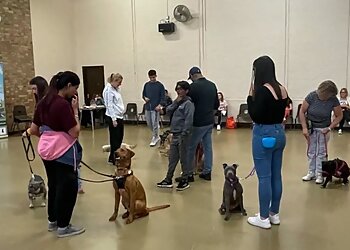 Top Dog Training School & Home Boarding Ltd