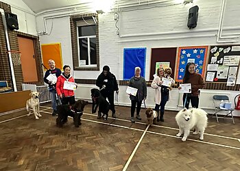 Top Dog Training School & Home Boarding Ltd.