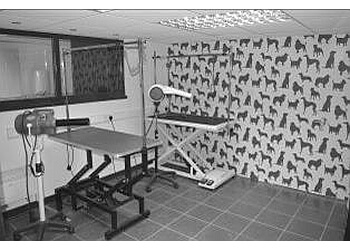 Top Pawfection Dog Grooming