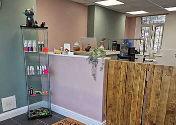 Top To Tail Dog Grooming