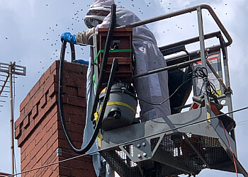 Topline Pest Control Ltd