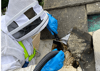 Topline Pest Control Ltd