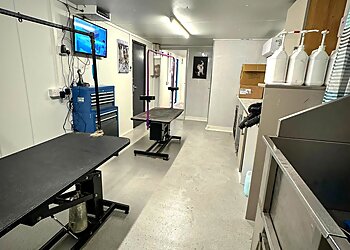 Top to Tail Dog Grooming