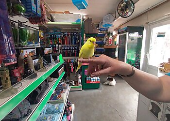 Town Gardens & City Pets