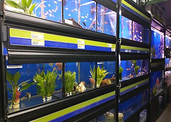 Town Gardens & City Pets