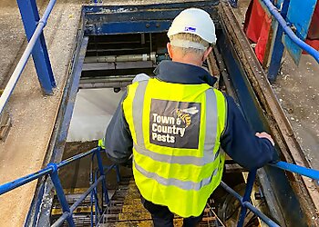 Town and Country Pests