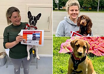 Train your dog- Kerry Attwood