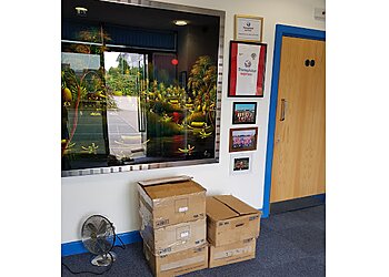 Transglobal Express Ltd