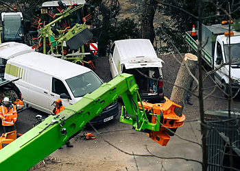 Tree Assist Ltd
