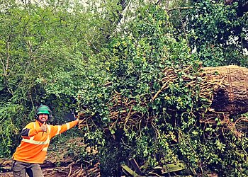 Tree Care Extraordinaire