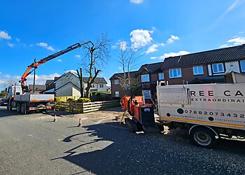 Chorley tree services Tree Care Extraordinaire image 1