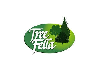 Tree Fella