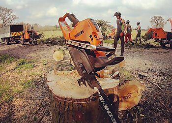 Tree Frog Tree Services