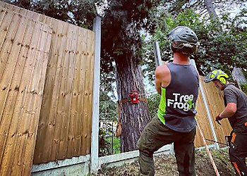 Tree Frog Tree Services