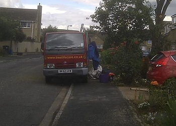 3 Best Tree Services In Swindon, UK - Expert Recommendations