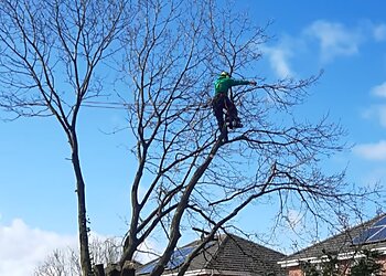 Tree Musketeers Lancashire
