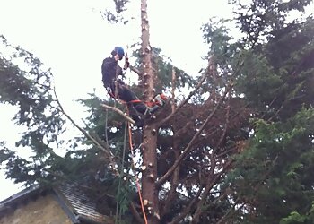 TreeScape Oxford Limited