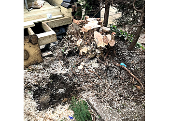 Tree Stump Solutions