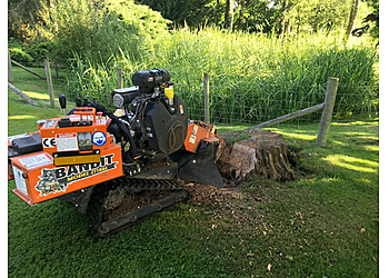 Tree Stump Solutions