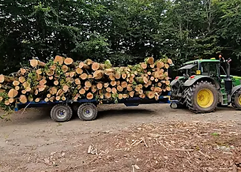 Tree Tech Arb & Forestry Services Ltd.