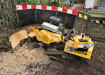 TreeTmenT Specialist Tree Services