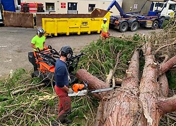 TreeTment Specialist Tree Services