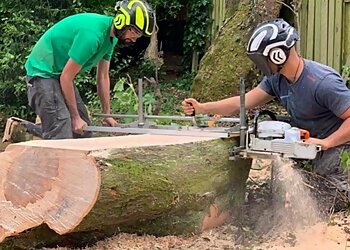 TreeTment Specialist Tree Services