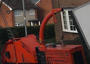 Treelink Northwest Ltd