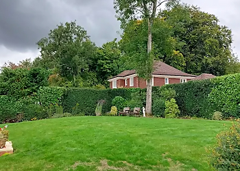 Tree of Life Arboriculture