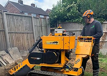 Treetops Professional Tree Surgeons