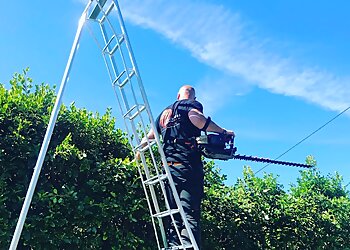 Treeworks Cornwall Ltd.