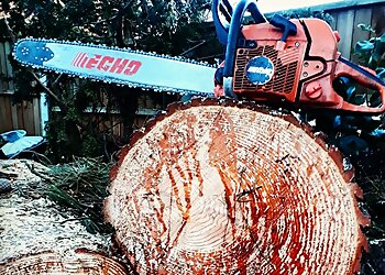 Triangle Tree Services