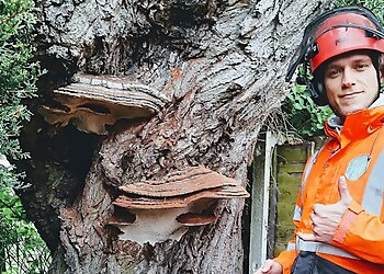 Triangle Tree Services