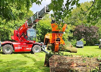 Troy's Tree & Hedge Services