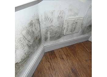 Trusted Home Surveys