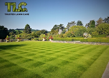 Trusted Lawn Care