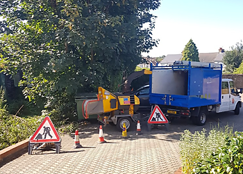 Tudor Rose Landscapes