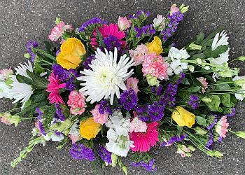 Tufty's Flowers & Cards