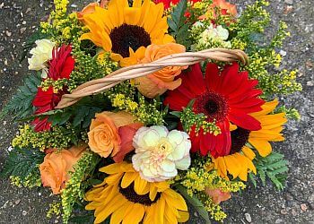 Tufty's Flowers & Cards