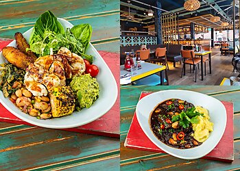 Turtle Bay Winchester