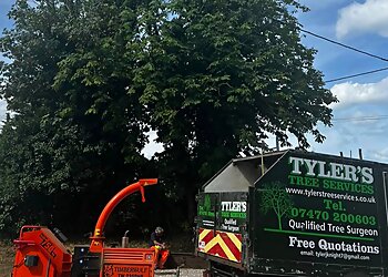 Sittingbourne tree services Tyler’s Tree Services  image 1