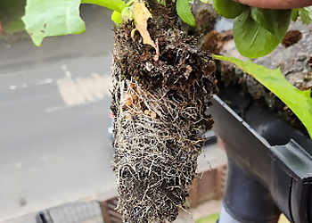 Ultimate Clean Solutions