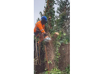 Ultra Tree Services Ltd.