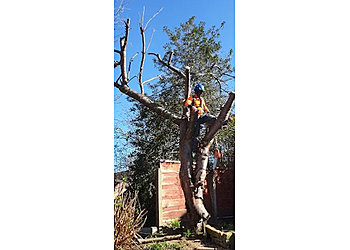 Ultra Tree Services Ltd.