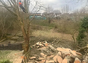 Ultra Tree Services Ltd.