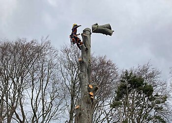 Underhill and Son Tree Surgery Ltd
