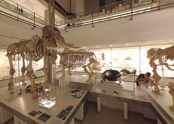 University Museum of Zoology