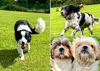 Unleash The Hounds Teesside