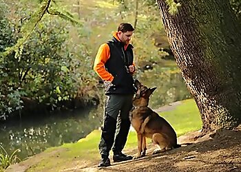 St Helens dog trainers Unleashed K9 Services image 1